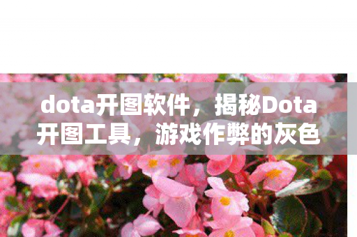 dota开图软件，揭秘Dota开图工具，游戏作弊的灰色地带与道德边界