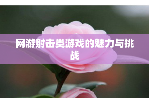 网游射击类游戏的魅力与挑战