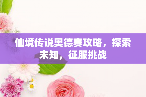 仙境传说奥德赛攻略，探索未知，征服挑战