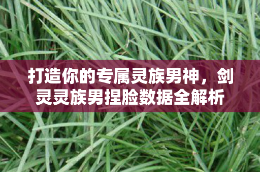 打造你的专属灵族男神，剑灵灵族男捏脸数据全解析