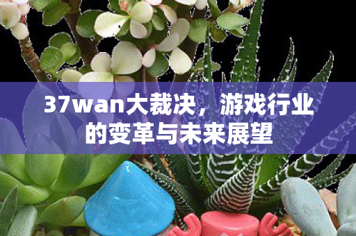 37wan大裁决，游戏行业的变革与未来展望
