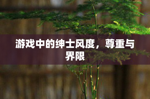 游戏中的绅士风度，尊重与界限