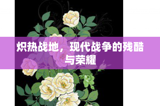 炽热战地，现代战争的残酷与荣耀