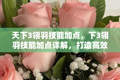 天下3翎羽技能加点，下3翎羽技能加点详解，打造高效战斗力的关键