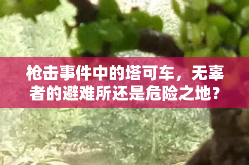 枪击事件中的塔可车，无辜者的避难所还是危险之地？