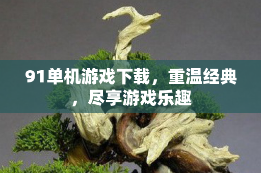 91单机游戏下载，重温经典，尽享游戏乐趣