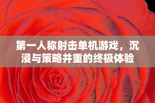 第一人称射击单机游戏，沉浸与策略并重的终极体验