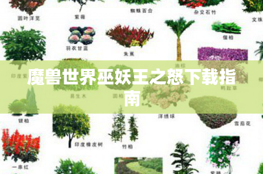 魔兽世界巫妖王之怒下载指南