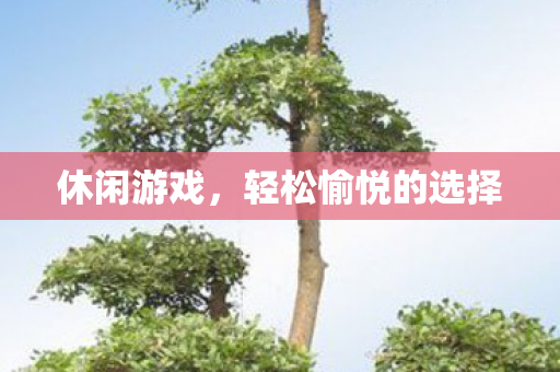休闲游戏，轻松愉悦的选择