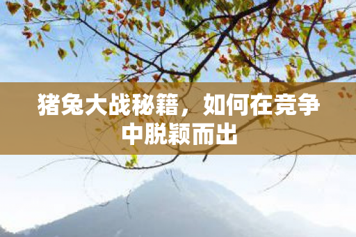猪兔大战秘籍，如何在竞争中脱颖而出