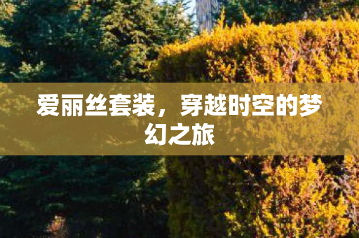 爱丽丝套装，穿越时空的梦幻之旅