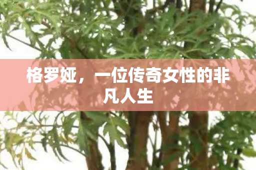 格罗娅，一位传奇女性的非凡人生