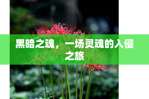 黑暗之魂,一场灵魂的入侵之旅 黑暗之魂,一场灵魂的入侵之旅