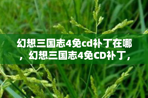 幻想三国志4免cd补丁在哪，幻想三国志4免CD补丁，重温经典，无需CD的便捷体验