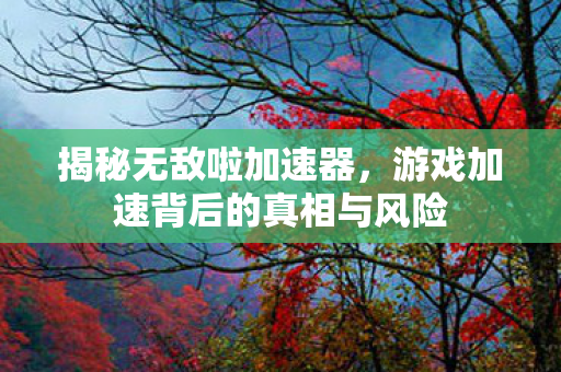 揭秘无敌啦加速器,游戏加速背后的真相与风险 揭秘无敌啦加速器,游戏加速背后的真相与风险