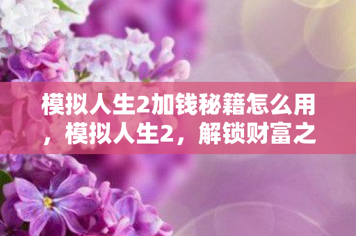 模拟人生2加钱秘籍怎么用，模拟人生2，解锁财富之门的秘籍