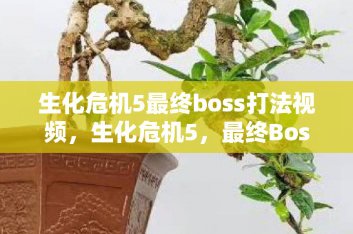 生化危机5最终boss打法视频，生化危机5，最终Boss的挑战