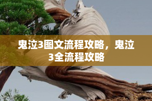 鬼泣3图文流程攻略，鬼泣3全流程攻略