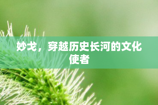 妙戈,穿越历史长河的文化使者 妙戈,穿越历史长河的文化使者