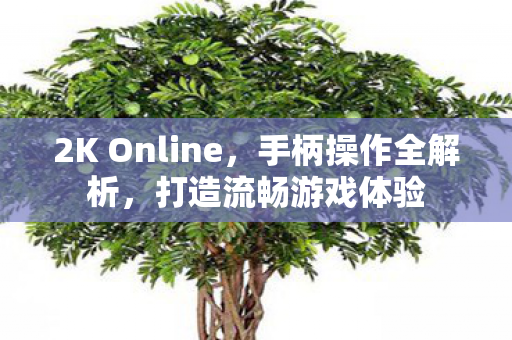 2K Online，手柄操作全解析，打造流畅游戏体验
