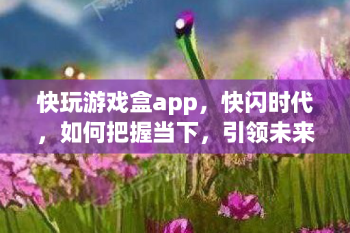 快玩游戏盒app，快闪时代，如何把握当下，引领未来？