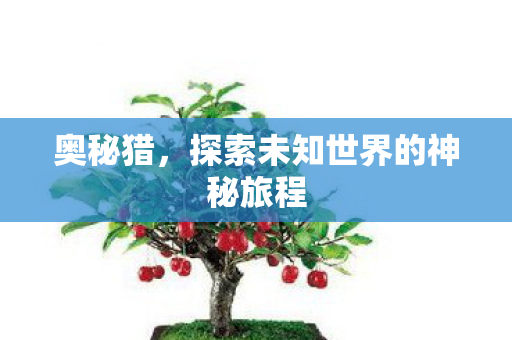 奥秘猎，探索未知世界的神秘旅程
