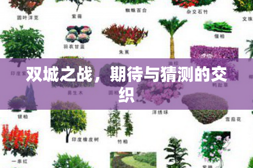 双城之战，期待与猜测的交织