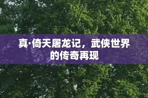 真·倚天屠龙记，武侠世界的传奇再现