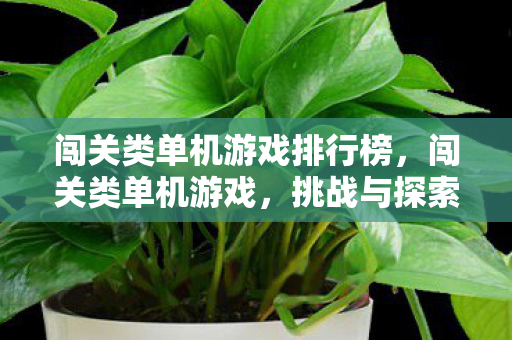 闯关类单机游戏排行榜，闯关类单机游戏，挑战与探索的完美结合