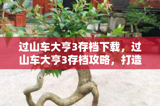 过山车大亨3存档下载，过山车大亨3存档攻略，打造你的梦幻乐园