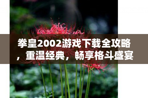 拳皇2002游戏下载全攻略，重温经典，畅享格斗盛宴