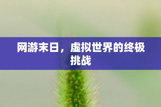 网游末日，虚拟世界的终极挑战