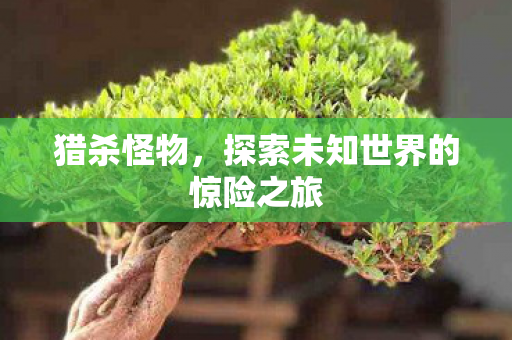 猎杀怪物，探索未知世界的惊险之旅