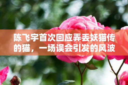 陈飞宇首次回应弄丢妖猫传的猫，一场误会引发的风波