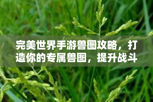 完美世界手游兽图攻略，打造你的专属兽图，提升战斗实力