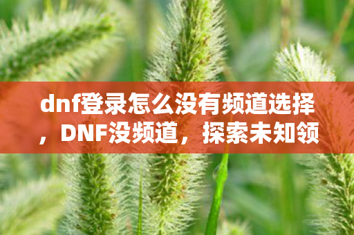 dnf登录怎么没有频道选择图片