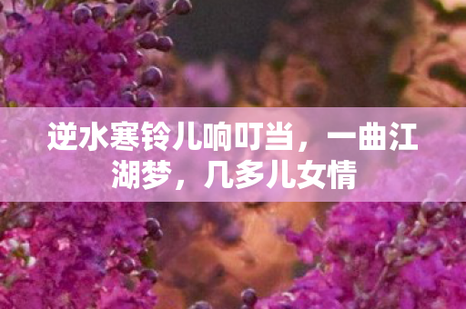 逆水寒铃儿响叮当，一曲江湖梦，几多儿女情