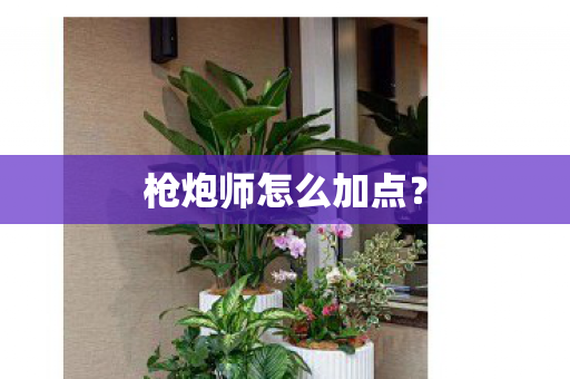 枪炮师怎么加点？