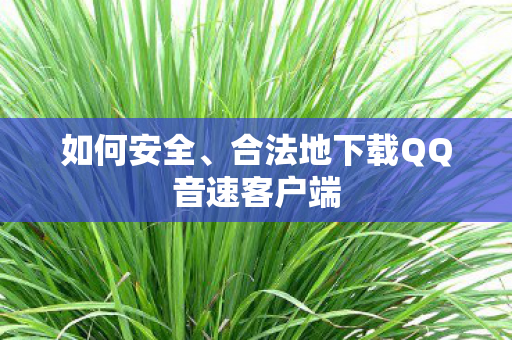 如何安全、合法地下载QQ音速客户端