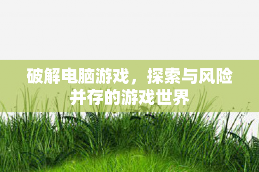破解电脑游戏，探索与风险并存的游戏世界