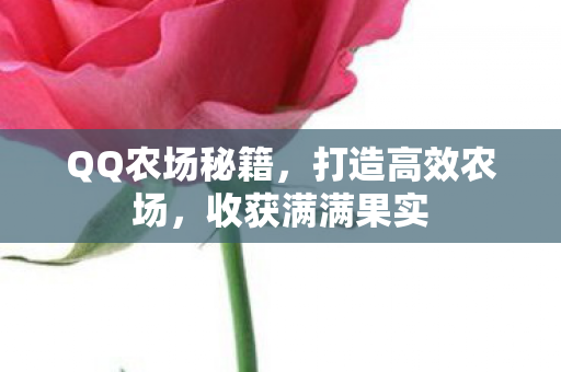 QQ农场秘籍，打造高效农场，收获满满果实