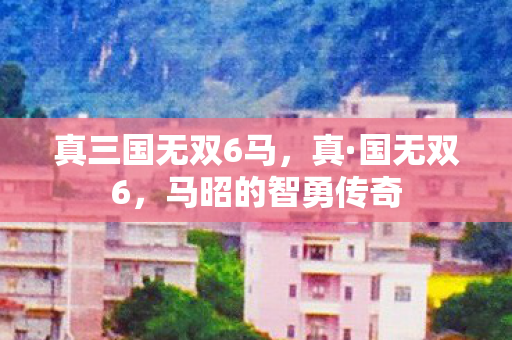 真三国无双6马，真·国无双6，马昭的智勇传奇