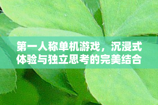 第一人称单机游戏，沉浸式体验与独立思考的完美结合