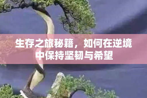 生存之旅秘籍，如何在逆境中保持坚韧与希望