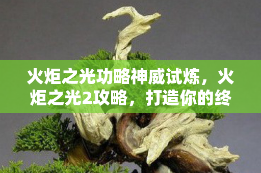 火炬之光功略神威试炼，火炬之光2攻略，打造你的终极冒险之旅