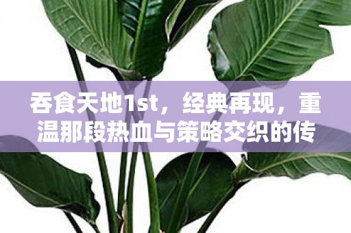 吞食天地1st,经典再现,重温那段热血与策略交织的传奇 吞食天地1st,经典再现,重温那段热血与策略交织的传奇