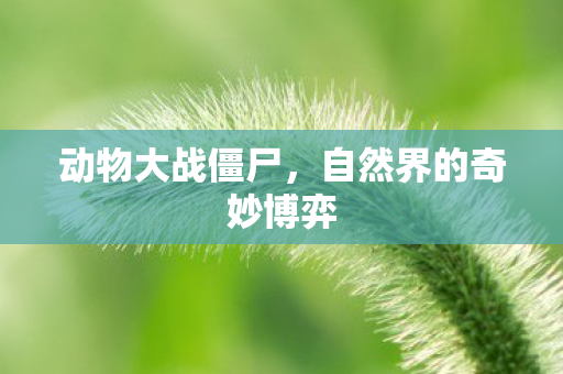 动物大战僵尸，自然界的奇妙博弈