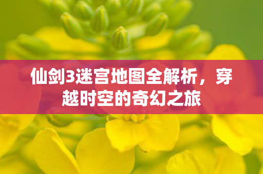 仙剑3迷宫地图全解析,穿越时空的奇幻之旅 仙剑3迷宫地图全解析,穿越时空的奇幻之旅