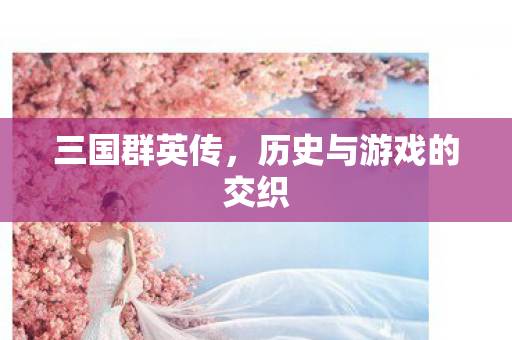 三国群英传,历史与游戏的交织 三国群英传,历史与游戏的交织