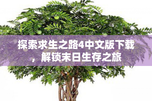 探索求生之路4中文版下载，解锁末日生存之旅